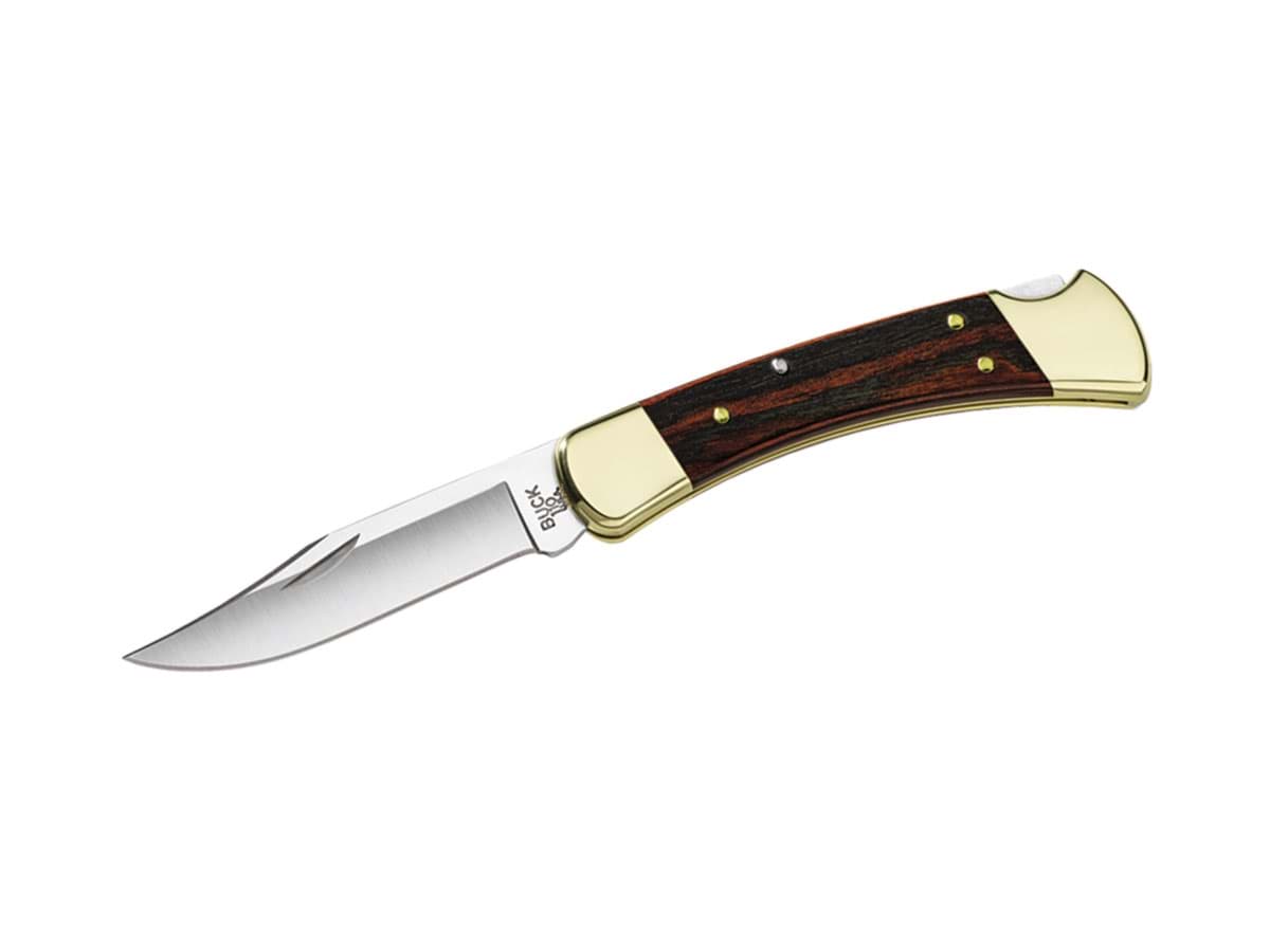 Picture of Buck Knives - Folding Hunter Plain