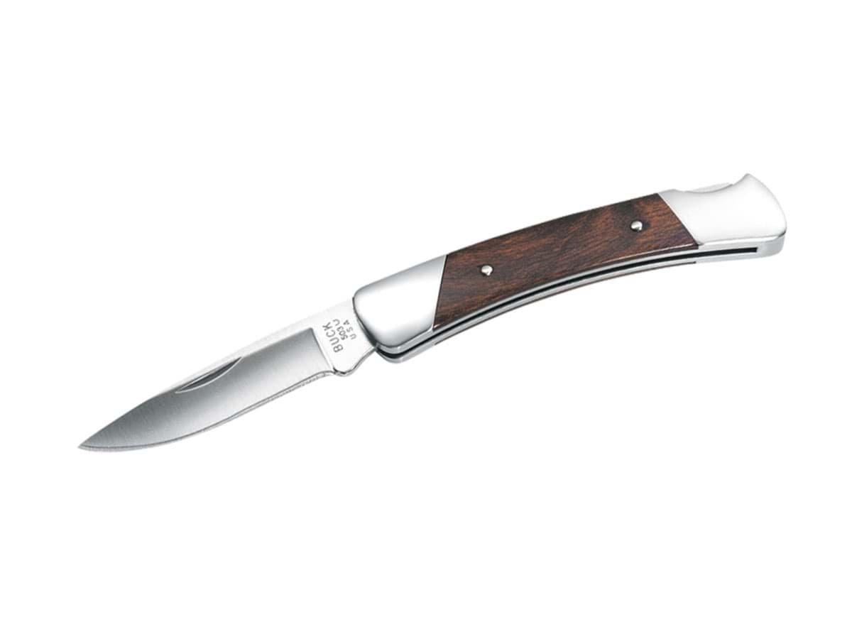 Picture of Buck Knives - Prince