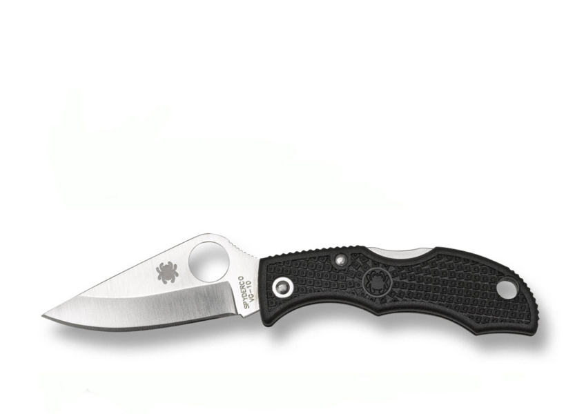 Image de Spyderco - Ladybug 3