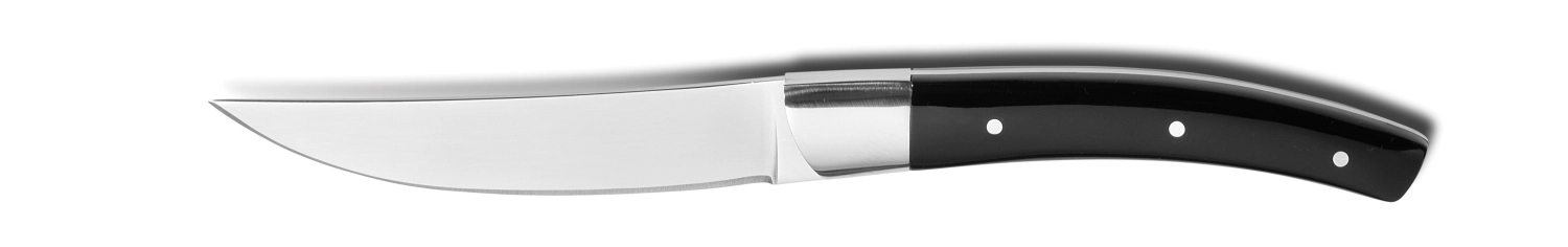 Picture of Comas - Steak Knife Zermatt 227 mm