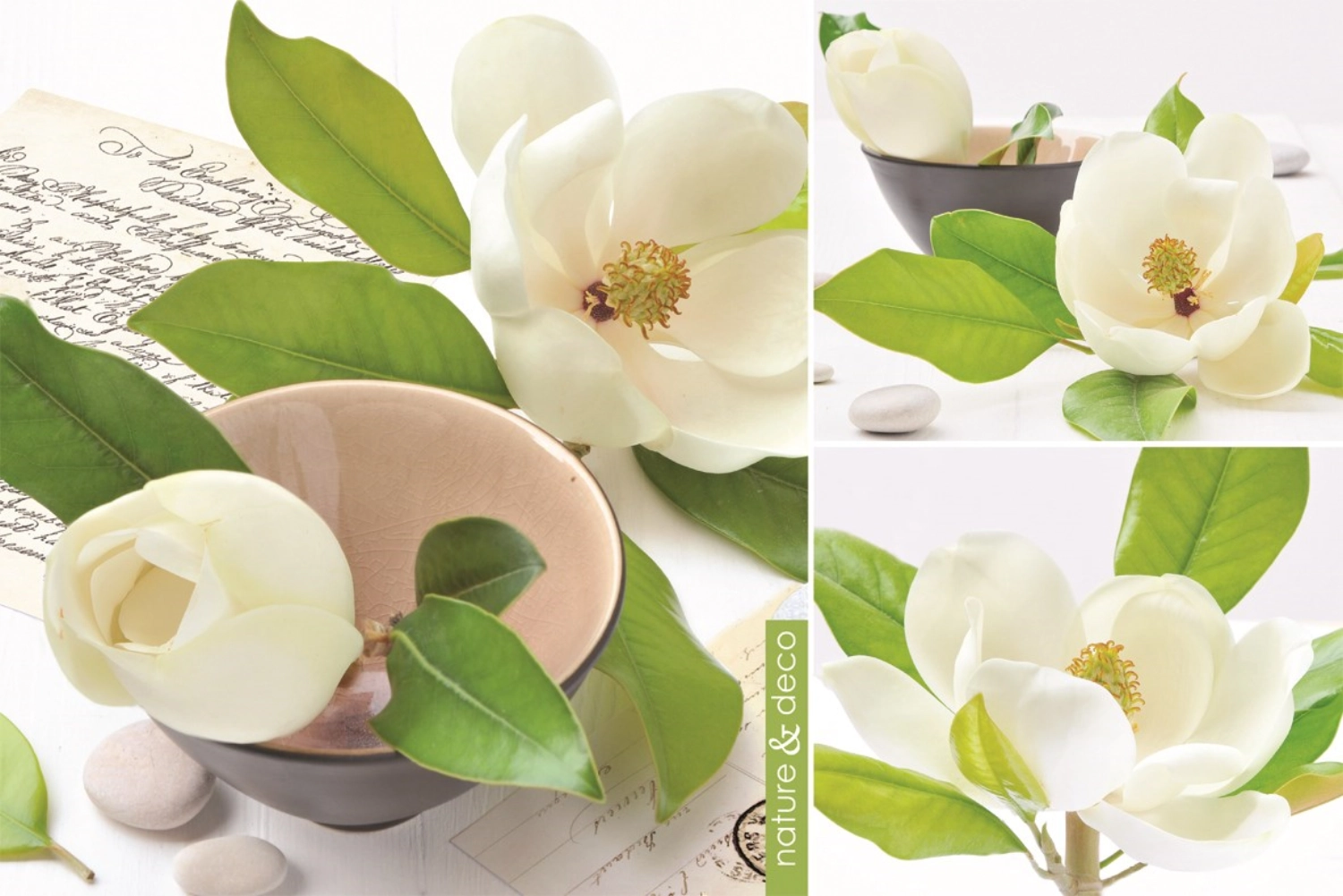 Bild von Easy Life - Nature und Deco Magnolia Tischset 45 x 30 cm