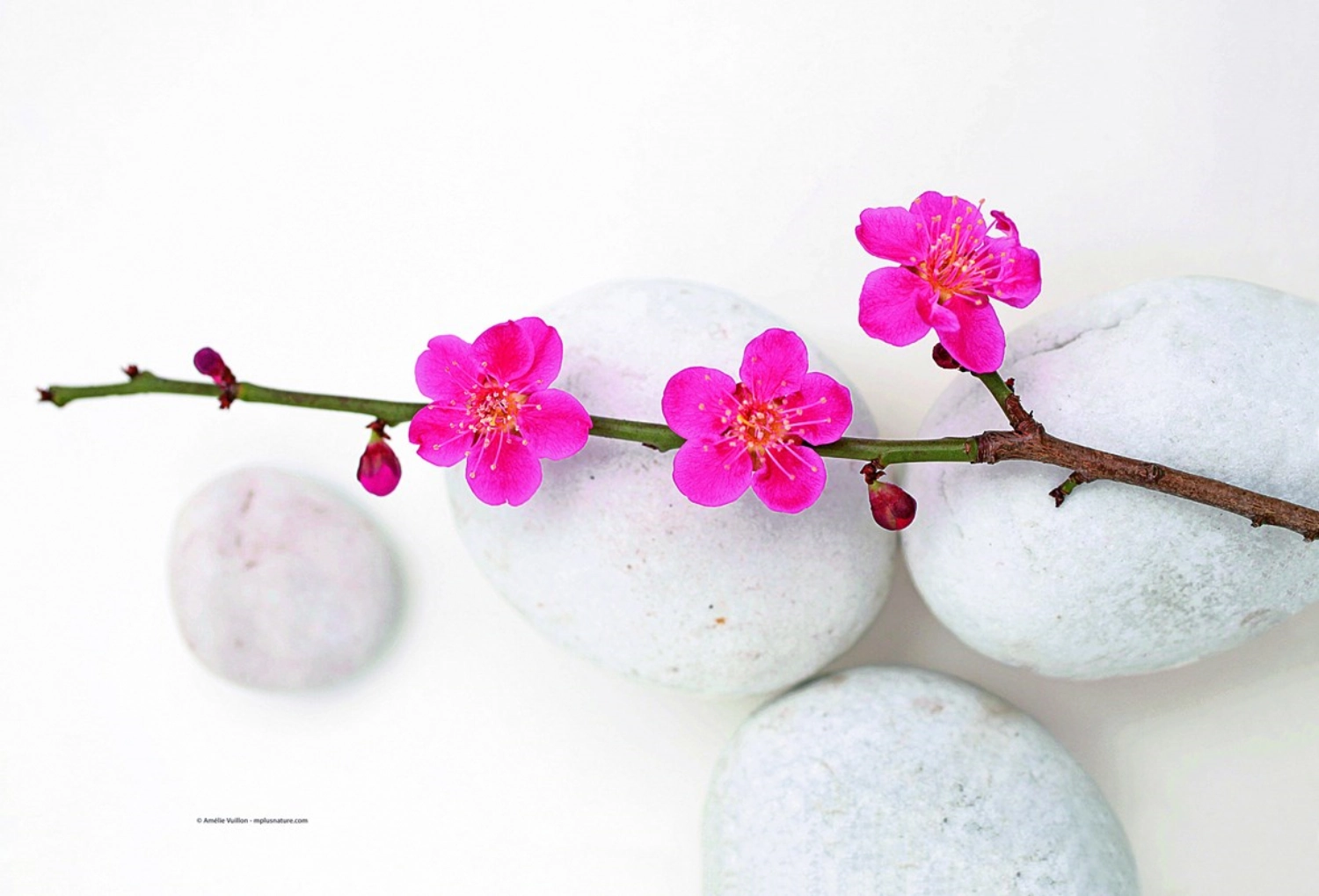 Bild von Easy Life - Tranquillity Tischset 45 x 30 cm