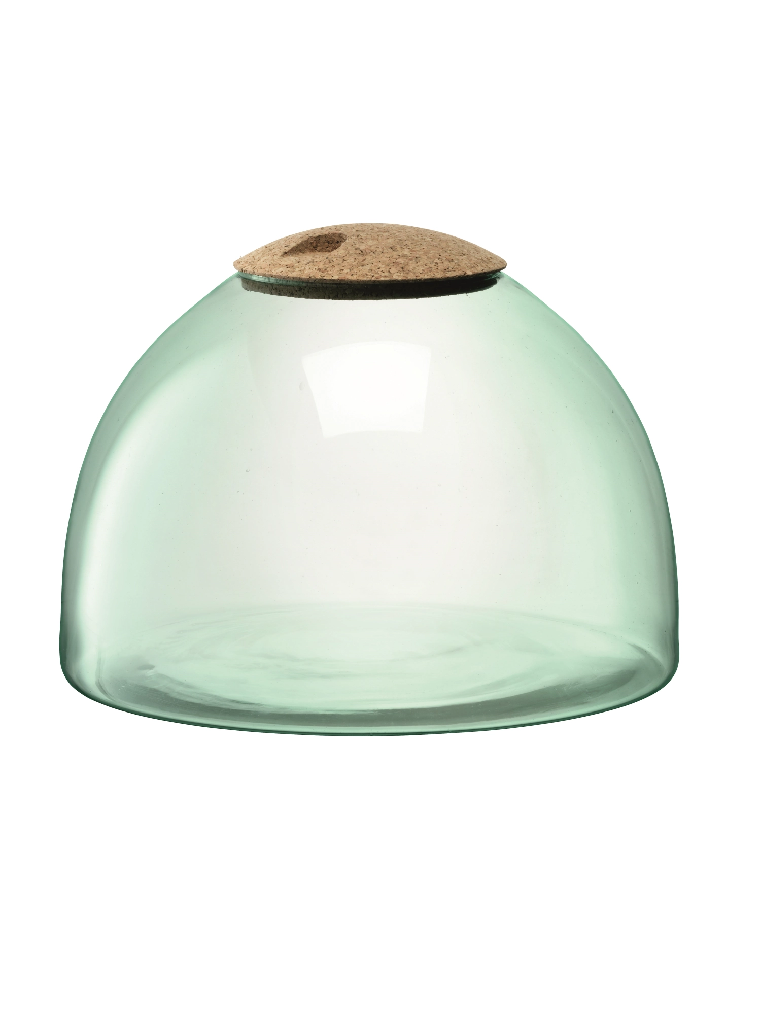 Bild von LSA - Canopy Flaschengarten H 22 cm recycletes Glas