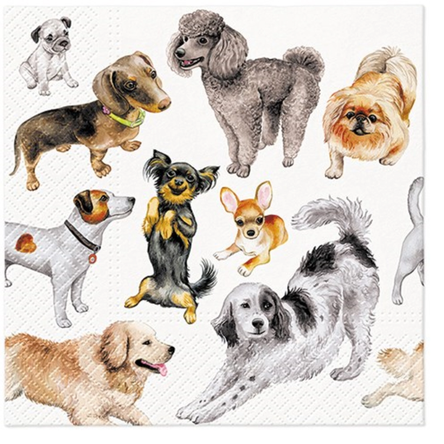 Picture of PAW - Napkins Lunch 20x Dogs Happiness 33 x 33 cm