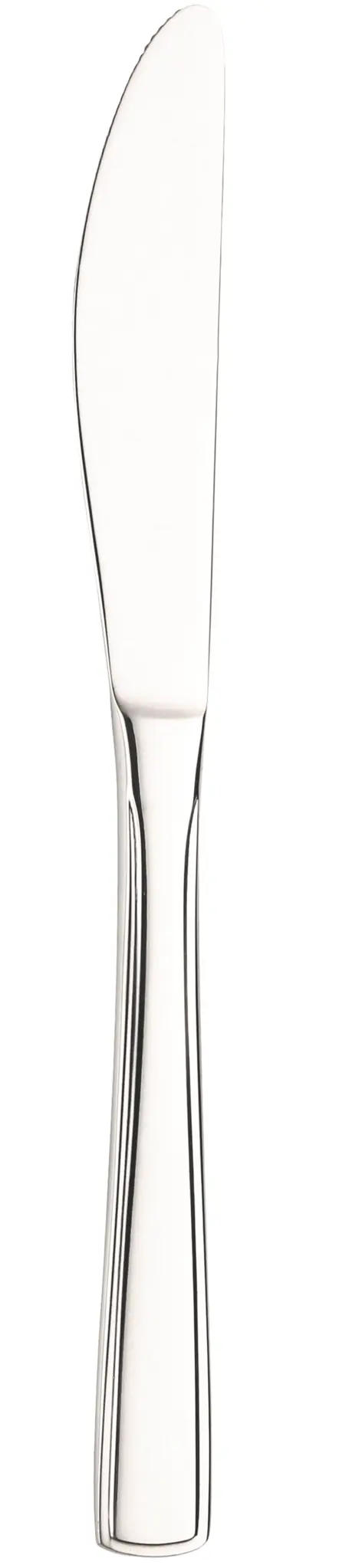 Bild von Pintinox - 12er Set Beta Tafelmesser monobloc 21 cm Aligro