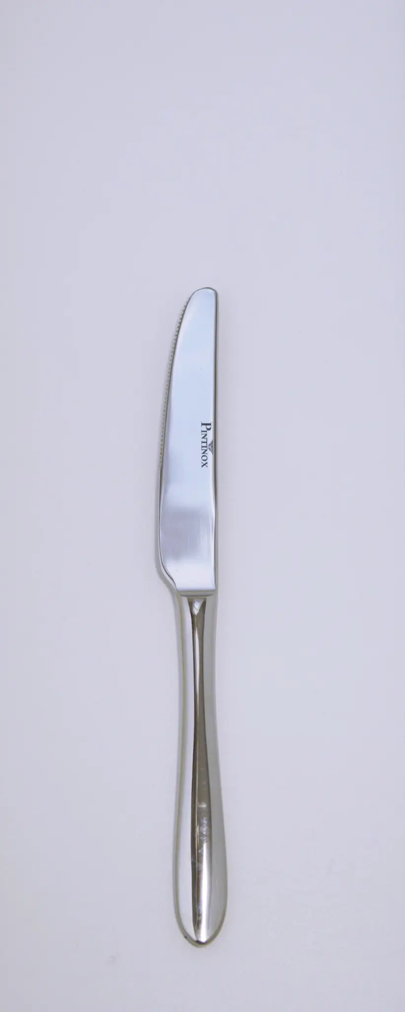 Image de Pintinox - Ritz couteau à dessert 21 cm
