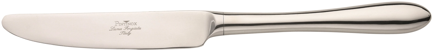 Bild von Pintinox - Ritz Tafelmesser Hohlheft 24 cm