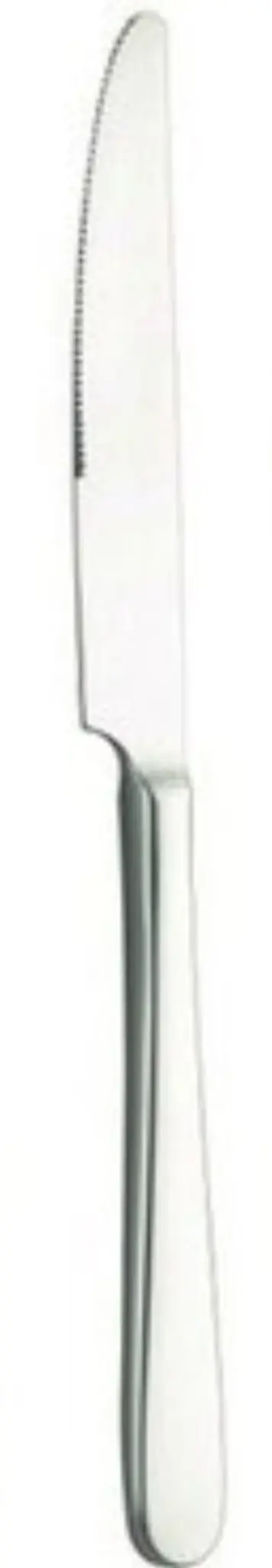 Bild von Pintinox - Savoy Dessertmesser Monobloc 20 cm