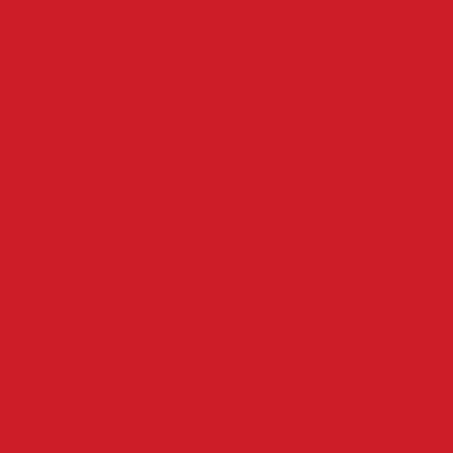 Bild von Roltex - Tablett Polyprop Kirschrot 45.5 x 35.5 cm