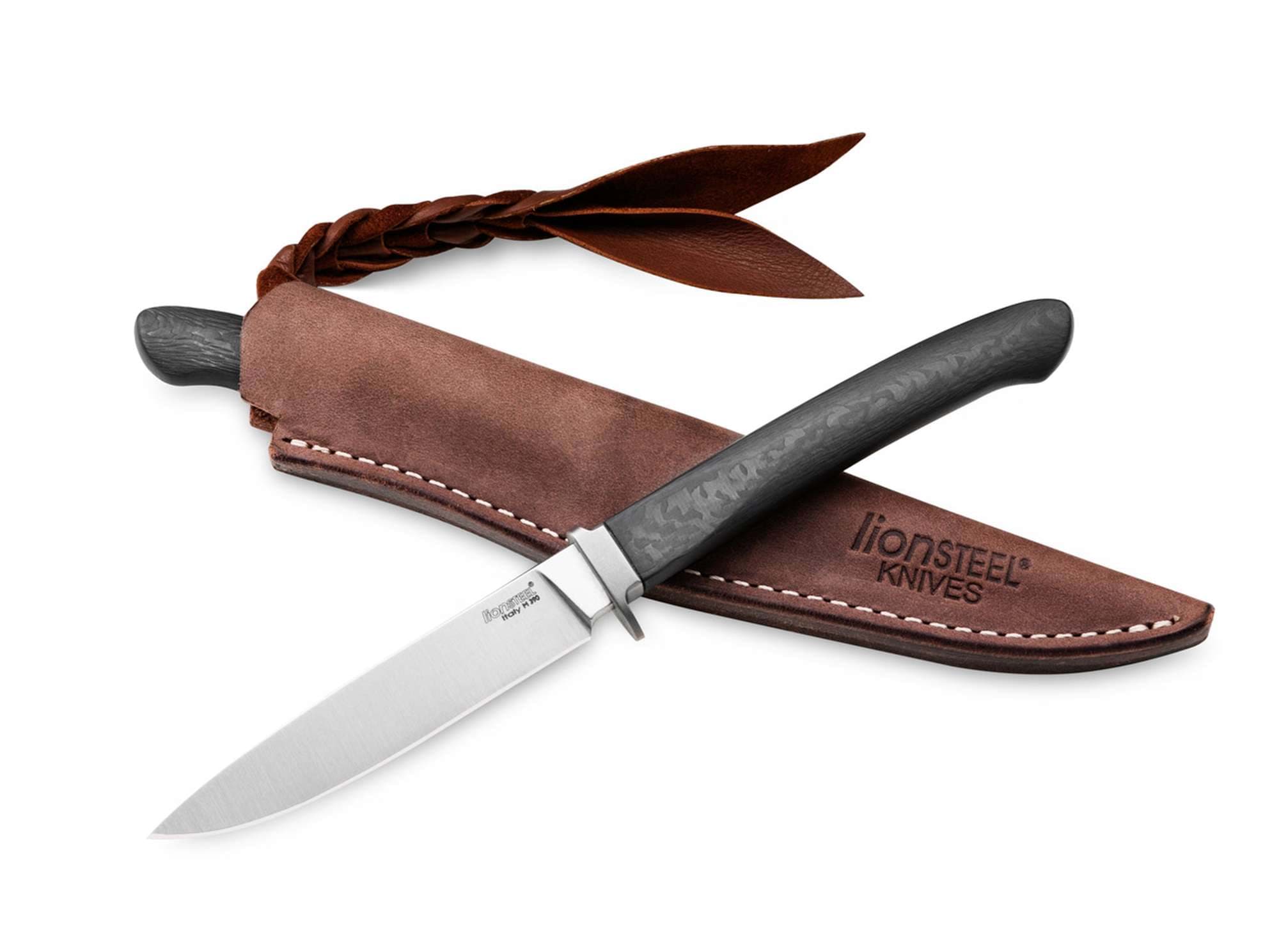 Bild von LionSteel - Ago CF